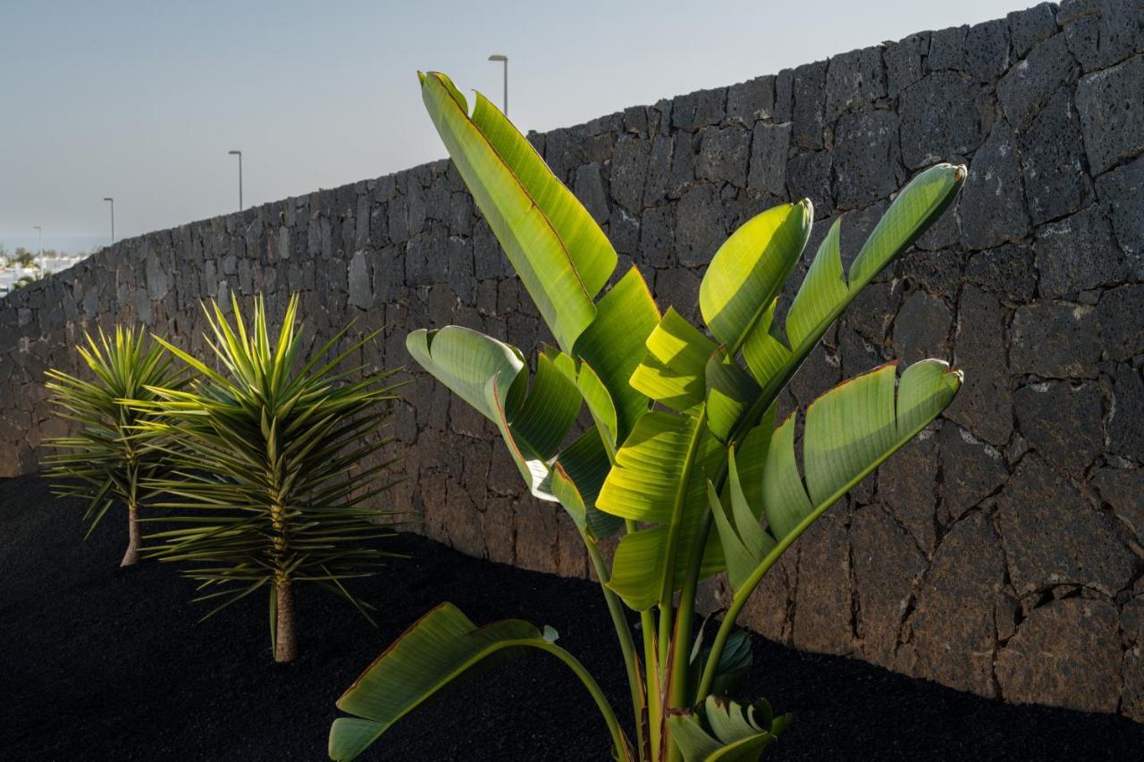Villas Altos De Lanzarote Плая Бланка Екстериор снимка